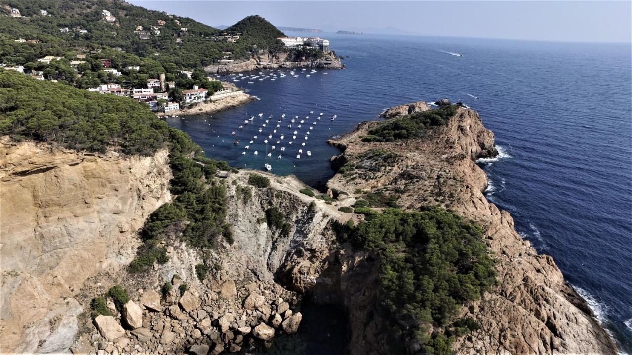 "La Terrasse De La Mer 1" -Climatisation-Wifi-Bbq -Piscine-Parking 巴古尔 外观 照片