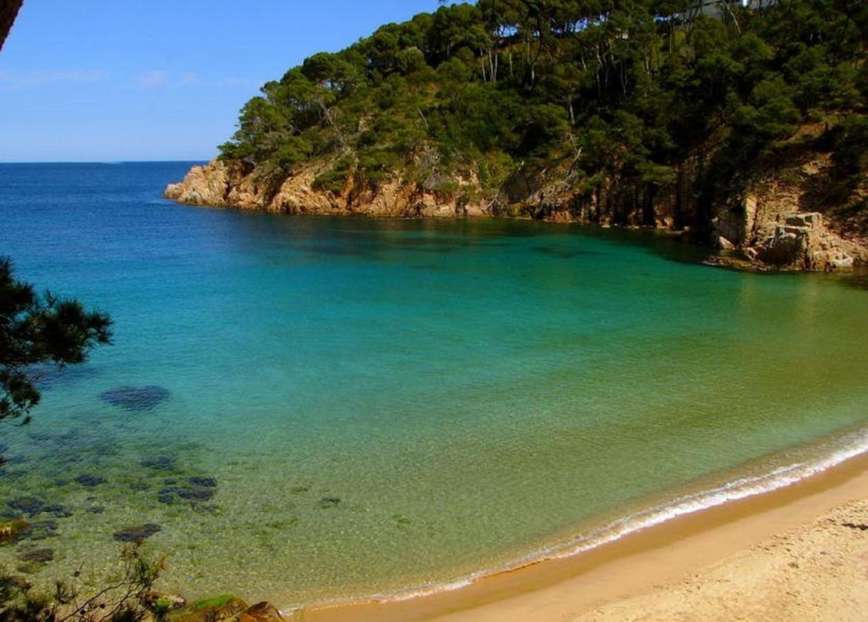 "La Terrasse De La Mer 1" -Climatisation-Wifi-Bbq -Piscine-Parking 巴古尔 外观 照片